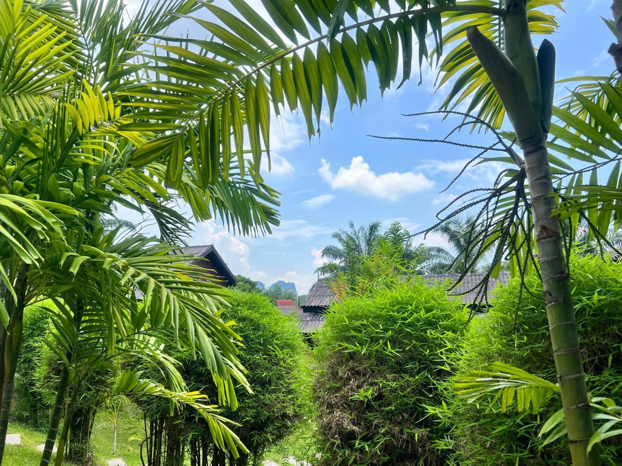 منتجع بالم كيري أونانج Ao Nang المظهر الخارجي الصورة